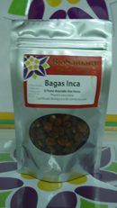 Bagas Inca