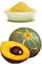 Lucuma