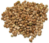 Sementes de Cânhamo
